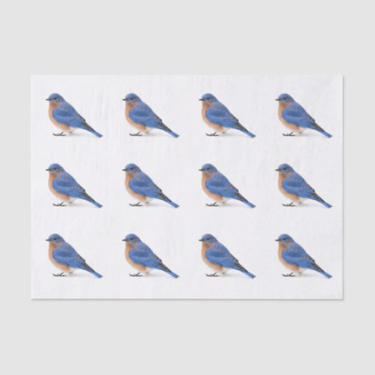 Papier Mousseline Bluebird (Recto)