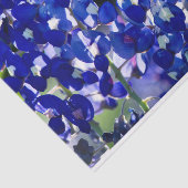 Papier Mousseline Bluebonnet (Détail)