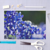 Papier Mousseline Bluebonnet (Artisanat)