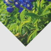 Papier Mousseline Bluebonnets Blue Floral Texas Texan Elegant (Détail)