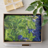 Papier Mousseline Bluebonnets Blue Floral Texas Texan Elegant (Cadeau)