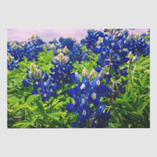 Papier Mousseline Bluebonnets Blue Floral Texas Texan Elegant