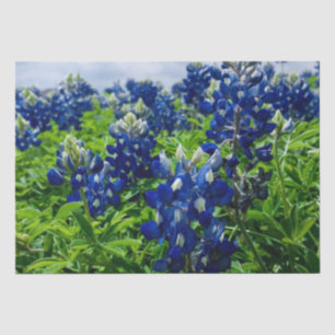 Papier Mousseline Bluebonnets Blue Floral Texas Texan Elegant