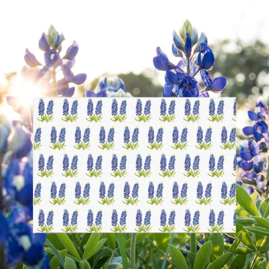 Papier Mousseline Bluebonnets Texas Flowers Fleur sauvage Aquarelle