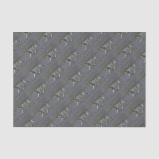 Papier Mousseline Bobcat (Recto)