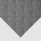 Papier Mousseline Bobcat (Détail)