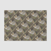 Papier Mousseline Bobcat (Recto)