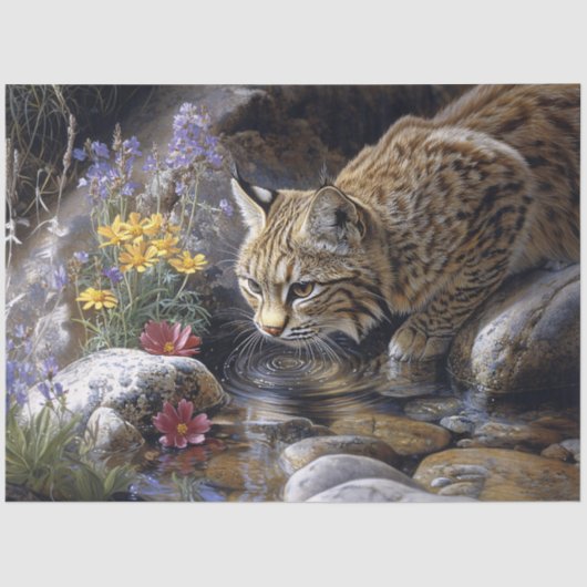 Papier Mousseline Bobcat avec découpage Fleur sauvage (Recto)