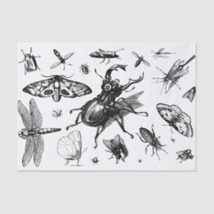 Papier Mousseline Bogue noire et gris