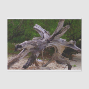 Papier Mousseline Bois de flottage