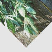 Papier Mousseline Bois de Grange frais coupé (Détail)