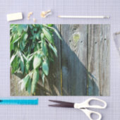 Papier Mousseline Bois de Grange frais coupé (Artisanat)