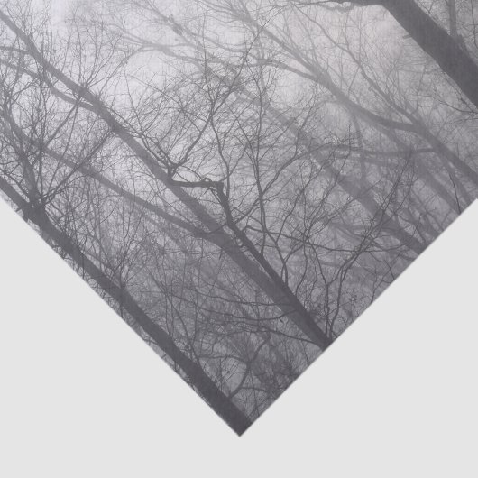 Papier Mousseline Bois gris des arbres (Détail)