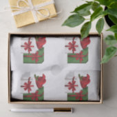 Papier Mousseline Boîtes Cadeaux Blanches Et Vertes Avec Chapeau De  (Cadeau)