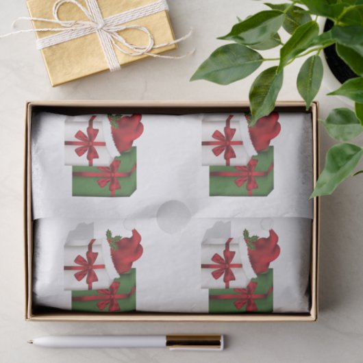 Papier Mousseline Boîtes Cadeaux Blanches Et Vertes Avec Chapeau De  (Cadeau)