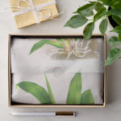 Papier Mousseline Bollea Pulmivaris (orchidée) par Jean Jules Linden (Cadeau)