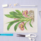 Papier Mousseline Bollea Pulmivaris (orchidée) par Jean Jules Linden (Artisanat)