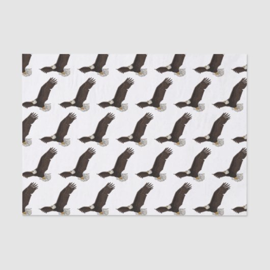 Papier Mousseline Bonne illustration de dessin d'aigle à chauve-sour (Recto)