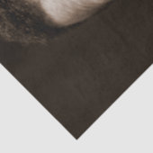 Papier Mousseline Booker Washington : African American Educator (Détail)