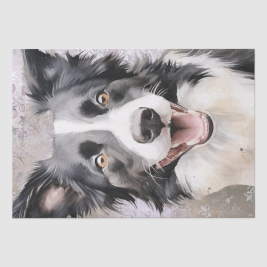 Papier Mousseline Bordure Collie Chien (Recto)