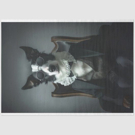 Papier Mousseline Bordure Collie dans Suite Shades Découpage (Recto)