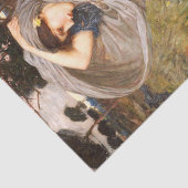 Papier Mousseline Borée par John William Waterhouse (Détail)