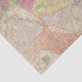 Papier Mousseline Boston 2 (Détail)