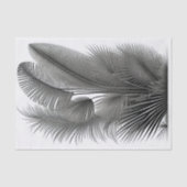 Papier Mousseline Botanique Blanc Noir Tirage Petit (Recto)