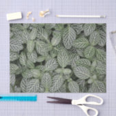 Papier Mousseline Botanique Feuille Plante verte (Artisanat)