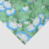 Papier Mousseline Botanique Morning Glory Floral Tissue Paper (Détail)