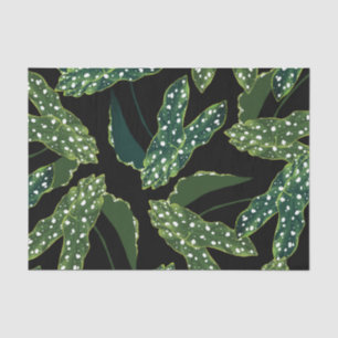Papier Mousseline Botanique Spotted Begonia Feuilles
