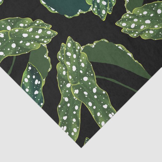 Papier Mousseline Botanique Spotted Begonia Feuilles (Détail)