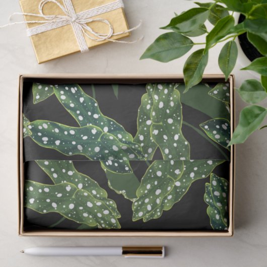 Papier Mousseline Botanique Spotted Begonia Feuilles (Cadeau)