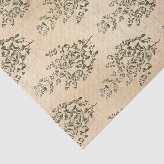 Papier Mousseline Botanique vintage (Détail)