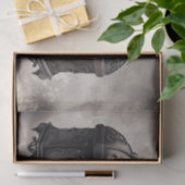 Papier Mousseline Boudoir victorien | Boîte de conservation pour bij (Cadeau)