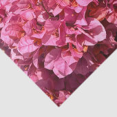Papier Mousseline Bougainvillea Arbuste de vinification rose tropica (Détail)