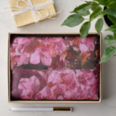 Papier Mousseline Bougainvillea Arbuste de vinification rose tropica (Cadeau)