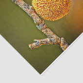 Papier Mousseline Boule de semences Sycamore (Détail)