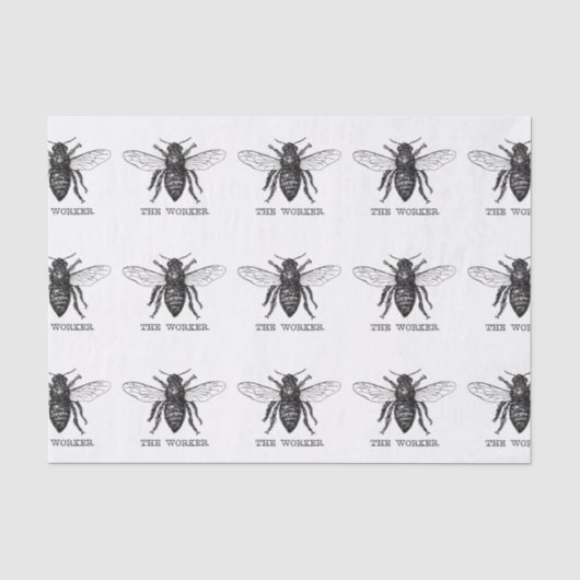 Papier Mousseline Bourdon noir ouvrier abeille miel (Recto)