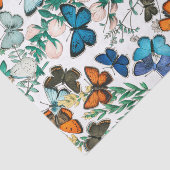 PAPIER MOUSSELINE BOUTEILLES EN PAPIER TISSU NATUREL (Détail)