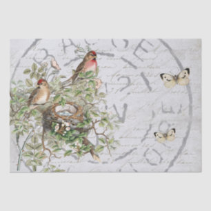 Papier Mousseline Bouton postal du nid d'oiseaux Script français ble
