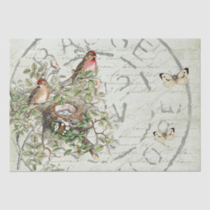 Papier Mousseline Bouton postal pour nid d'oiseaux français Script v