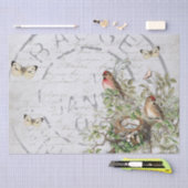 Papier Mousseline Bouton postal pour nid d'oiseaux Script français b (Artisanat)