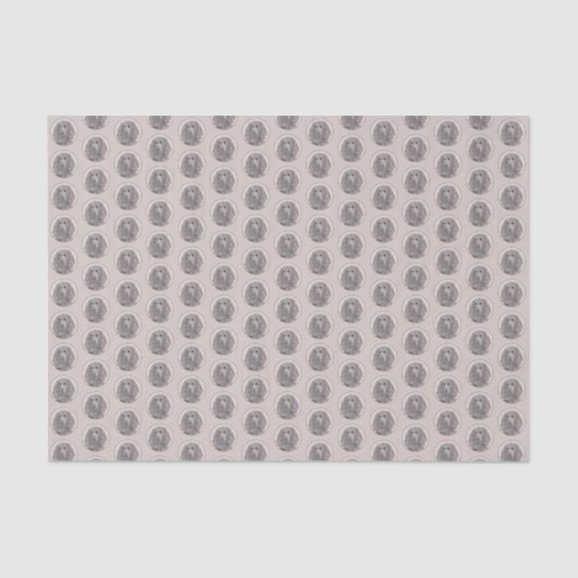 Papier Mousseline Boykin Spaniel Paining - Cute Original Dog Art (Recto)