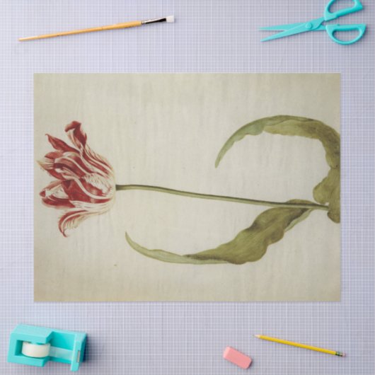 Papier Mousseline Brabantson Tulip par Judith Leyster (Artisanat)
