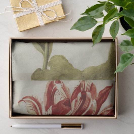 Papier Mousseline Brabantson Tulip par Judith Leyster (Cadeau)