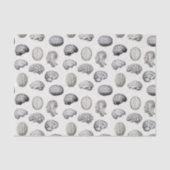 Papier Mousseline Brain Anatomy Biology Illustrations (Recto)