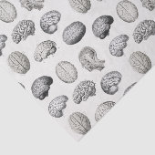 Papier Mousseline Brain Anatomy Biology Illustrations (Détail)
