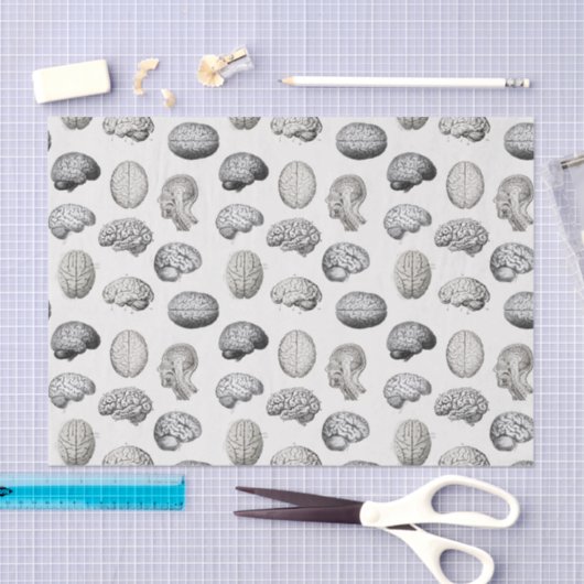 Papier Mousseline Brain Anatomy Biology Illustrations (Artisanat)