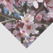 Papier Mousseline Branche de fleurs roses Printemps Floral (Détail)